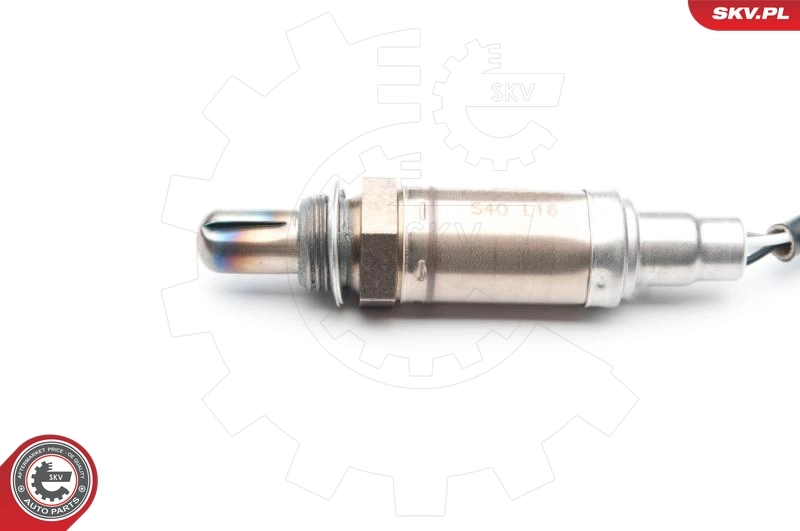 Oxygen Sensor